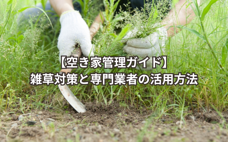 「【空き家管理ガイド】雑草対策と専門業者の活用方法」の見出し画像