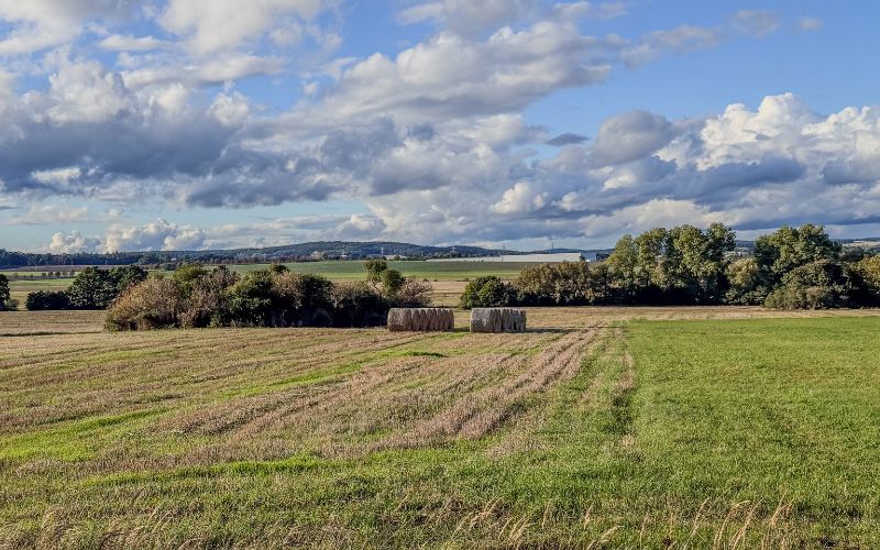 農地は売却できる？【結論：可能だが制限あり】